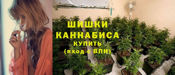 сатива Лагань