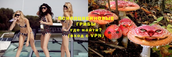 прущая мука Лабытнанги