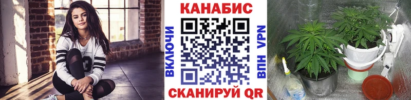 Купить где  Борзя  Шишки марихуана ГИДРОПОН 